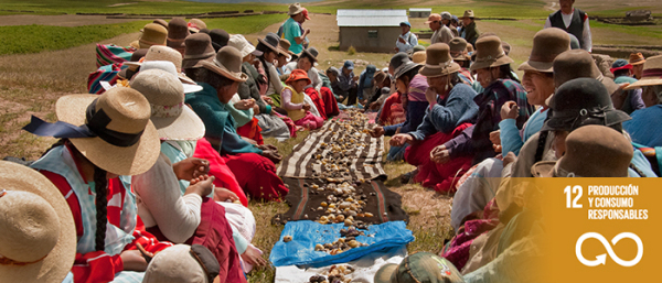 12 Objetivos del desarrollo sostenible 1