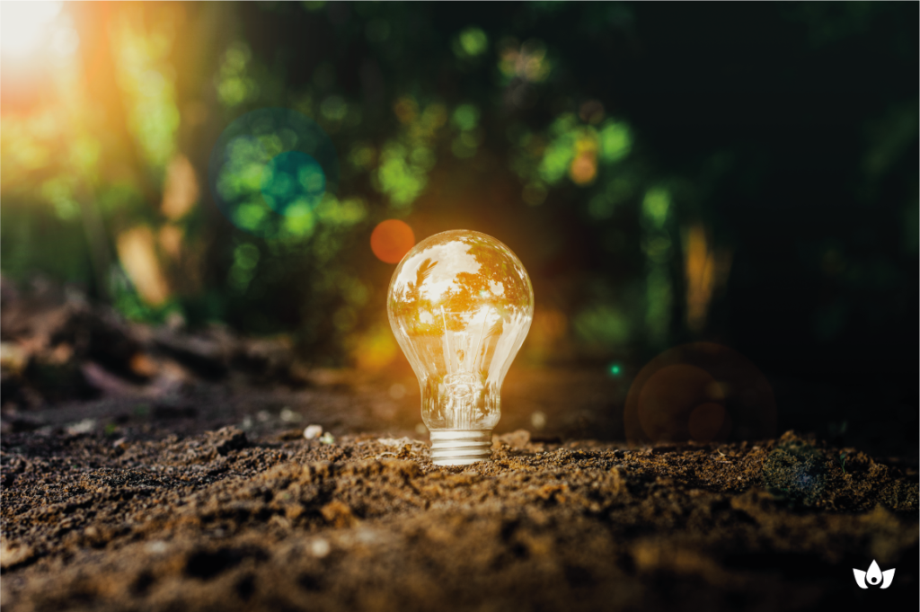 Generalidades de la economía circular
