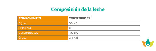 Los productos lácteos son alimentos de alto contenido nutricional que contienen aminoácidos, vitaminas y minerales